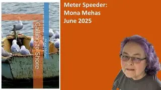 Meter Speeder: Mona Mehas
