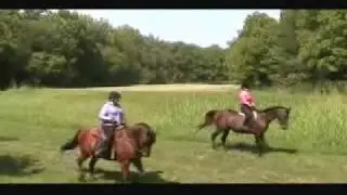 L'Esprit Community Video.mov