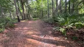 Senior Hiking- Bayard Conservation Area 7+ Miles