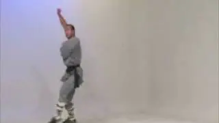 KungFuMagazine.com presents the Shaolin Taizu form