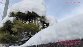 Snowfall Update # : 3 - Joetsu City Niigata Japan