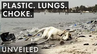 What If Plastic Pollution Gets Even Worse?  | Unveiled