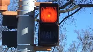 Durasig Pedestrian Signal