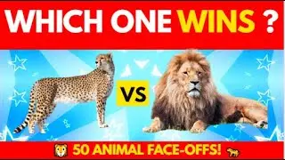 Which Animal is Better? 🐘🐍 Test Your Knowledge with 50 Fun Animal Questions!
