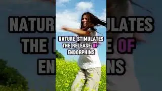 Why nature walks boost mental health