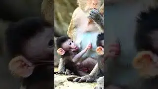 Time breast feeding milk for newborn babies