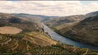 Graham's Port &ndash; Harvest 2021