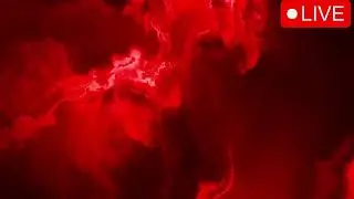 Crimson Waves of Calm