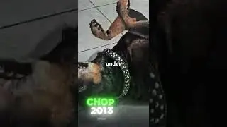 6 November 2025 #gta6  #gta6new  #gta6clips  #gta6trailer  #gta6leak  #gta6map  #gta6roleplay  #gta