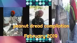 Сборник Peanut Dread, февраль 2019