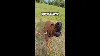 Ruth Tracks 