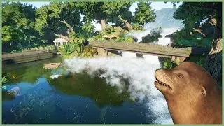 🐟Tropical sea lion habitat | Lurelin Zoo | Planet Zoo | speedbuild☔️