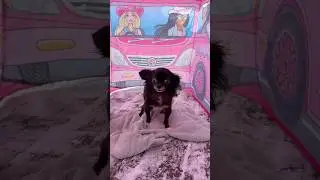 Палатка Барби, летающий пудинг 😱❤️