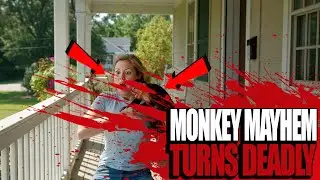 Escaped Pet Monkey's Terrifying Attack: A Shocking Survival Story