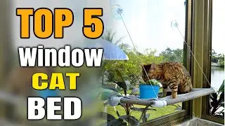 Suction Cup Window Cat Bed