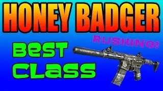 Honey Badger BEST CLASS SETUP for all playing styles(CoD: Ghosts)