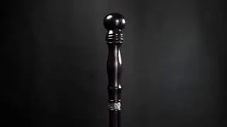 Knob Walking Cane Fashionable Carved Wooden Walking Stick | 3D Review
