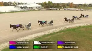 FRONTIER CRUISE, WIGGLE DELIGHT, MS BRAMPTON BEAST, CABERNET, BOTTLE OF RED, SUNSHINE N SHADE DRONE