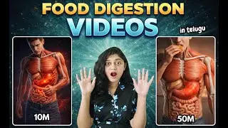 “This Is What Spicy Chips Do Inside Your Body 😱 | AI Food Digestion Video”