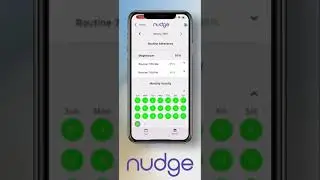 Understanding Nudge Reports  Daily and Monthly Insights