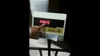 Platform Scales