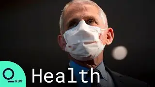Fauci: Vaccines 'Very Likely' Effective Against Variant Strains of Covid-19