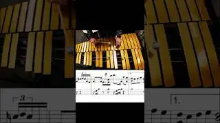 Flowers by @ichika_nito #vibraphone #cover with a little #music. #percussion