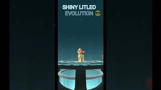 shiny litleo evolution 😎 #shorts #pokemongo
