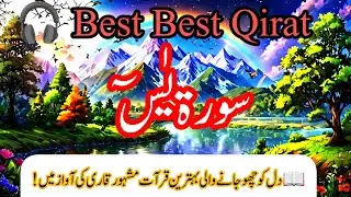 📖Surah Yaseen ☘️Beautiful Quran Tilawat Episode 12 HEART Touching Tilawat Islamic knowledge0512 