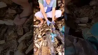 Log Splitter #logsplitter #firewood
