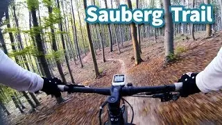 Sauberg Trail  - Wienerwald Trails (Shared Trail)