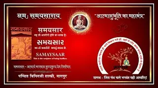 310  समयसार  ( वाचना  ) आश्रव अधिकार - गाथा - 166