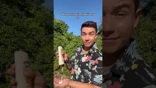 Things Tourists In Hawaii Say 😳🌴