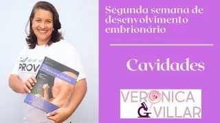 Segunda semana do desenvolvimento embrionário. Cavidades.