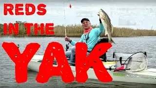 Venice Kayak Fishing on Castin' Cajun
