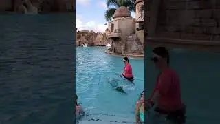 Mermaid School 6