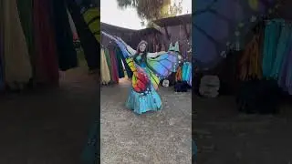 Butterfly 🦋 rainbow 🌈 butterfly #rainbow #wings #shorts #renaissance #fair #fairy #love #pride