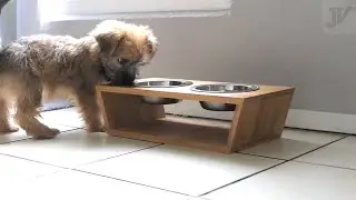 Bamboo Raised Pet Bowls - Stainless Steel