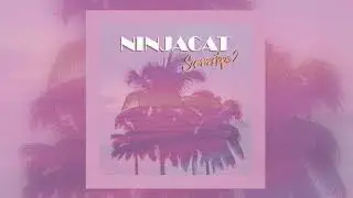 Ninjacat - 