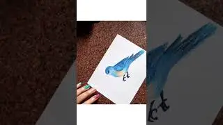 Bird drawing || oil pastel || realistic colouring  #shorts #art #birds #oilpastel #shortsfeed
