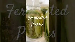 Quick and easy homemade fermented pickles that support gut microbiome 🥒 | Crunchy and delicious 😋