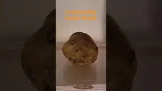 Cookie dough after full vacuum. #satisfying #dessert #science #experiment