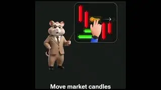 Hamster Candle Game Today #minigames #minigametoday #candle