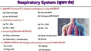 Human Respiratory System & It's Functions Explained | Biology | SSC, RRB, Railway, Exam