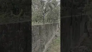 #fencingsolution #barbedwirefencing #securityfencing