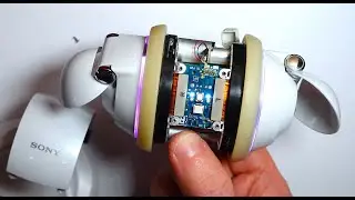 Sony Rolly Disassembly