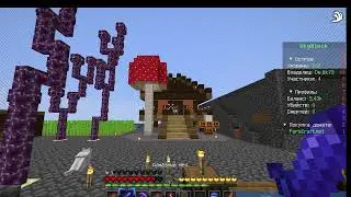 SKY BLOCK НОВЫЙ СЕЗОН! НОВЫЙ СЕРВЕР!