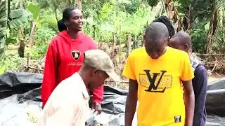 Silage making process