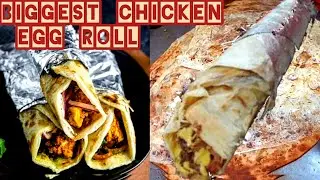 Roll - Soul of Roll | World's Biggest Chicken Egg Roll | Indian Foodies #shorts #trending #viral