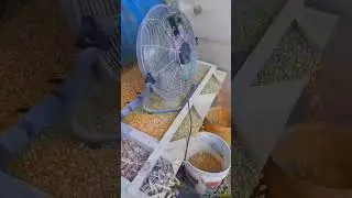 limpiador de maiz casero